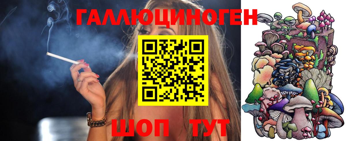 Псилоцибиновые грибы GOLDEN TEACHER Прохладный