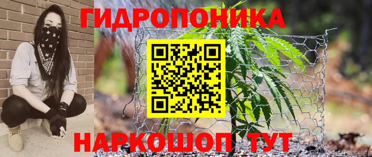 Канабис индика Прохладный